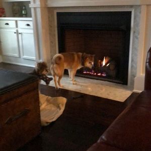 Meet your Posher, Curtis